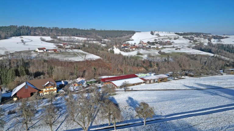 Winteridylle